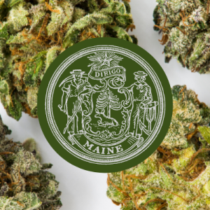 maine cannabis test requirements