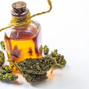 cannabis cooking oil with wildfire maine